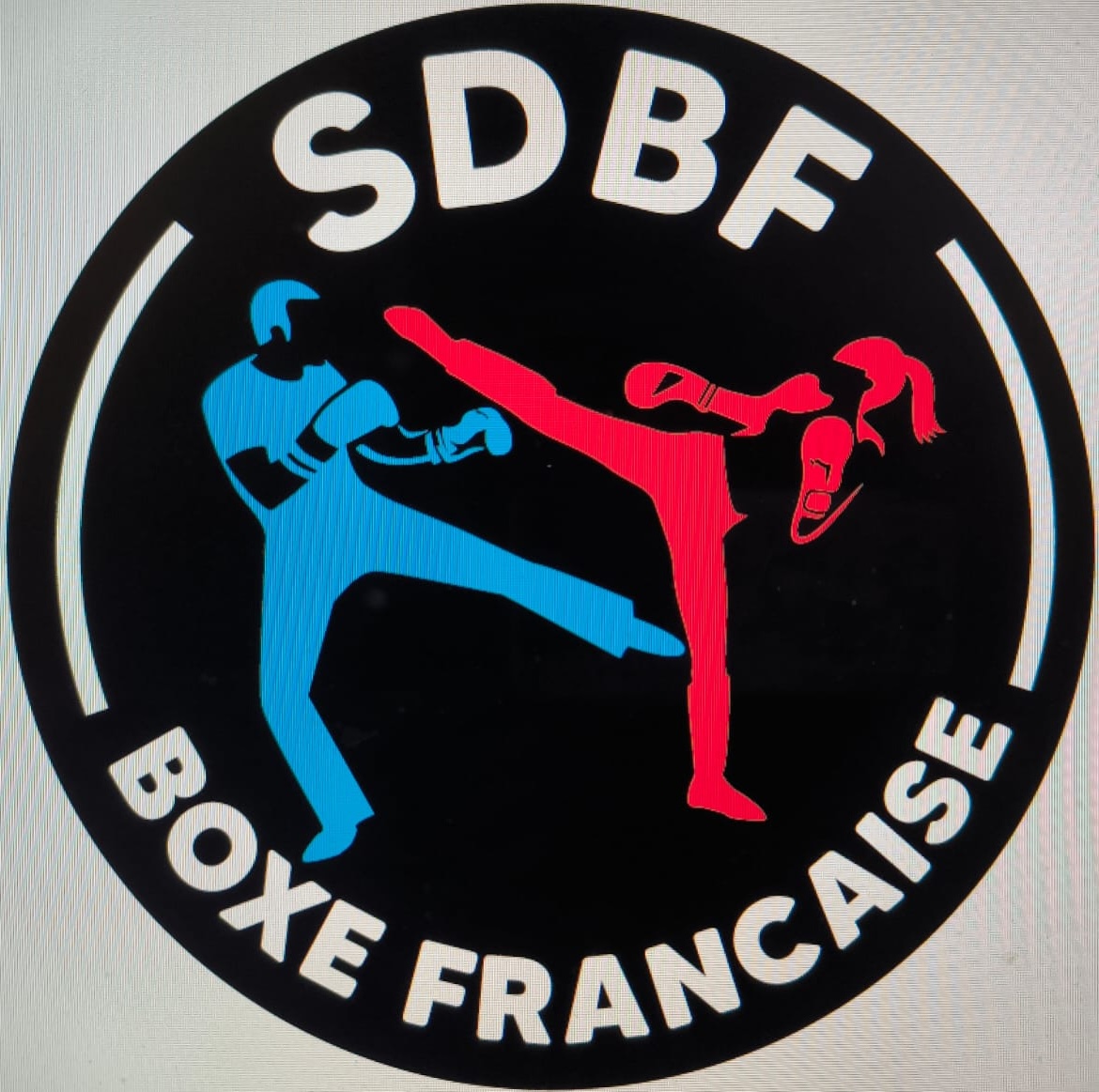 SDBF Logo
